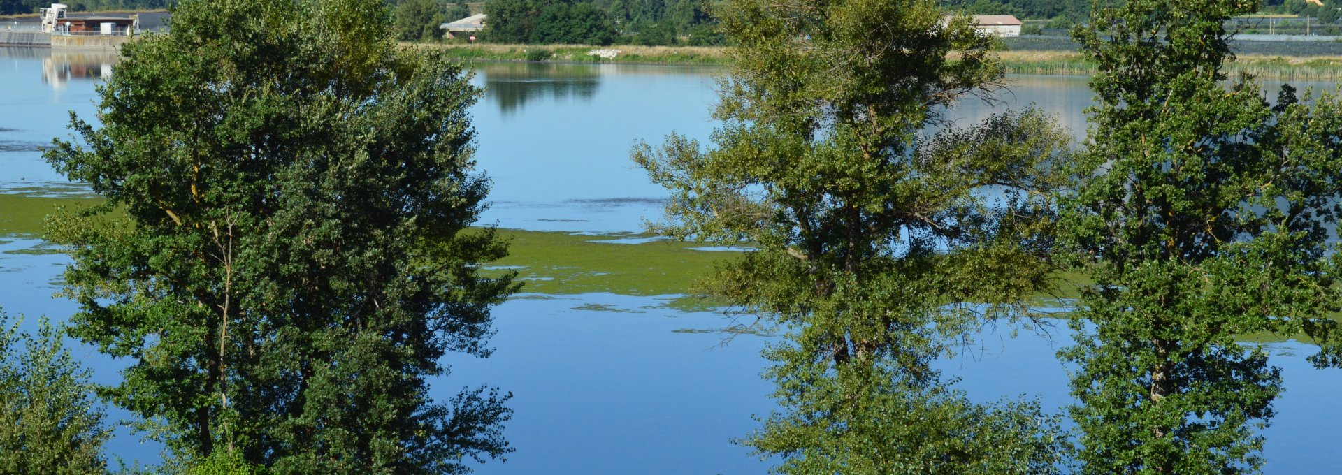 Vue sur le lac